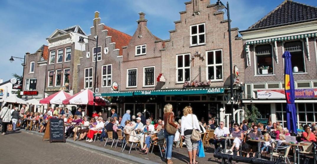 Huisje Britt Met Grote Tuin En Veel Privacy Dirkshorn 외부 사진