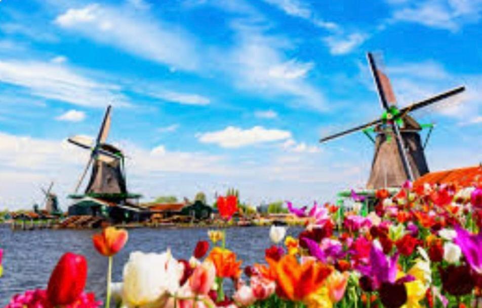Huisje Britt Met Grote Tuin En Veel Privacy Dirkshorn 외부 사진