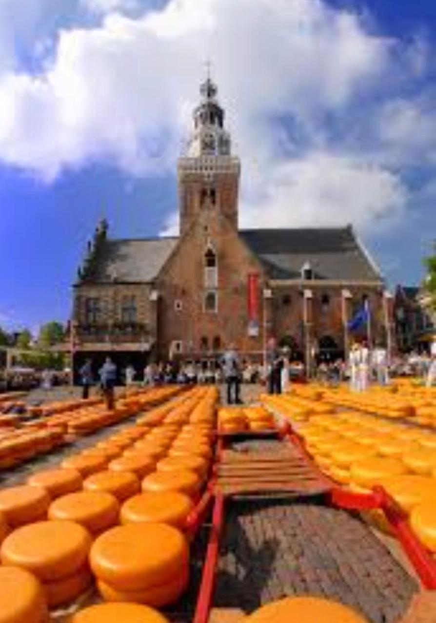 Huisje Britt Met Grote Tuin En Veel Privacy Dirkshorn 외부 사진