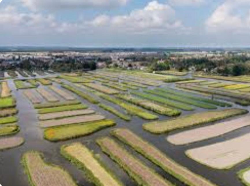 Huisje Britt Met Grote Tuin En Veel Privacy Dirkshorn 외부 사진